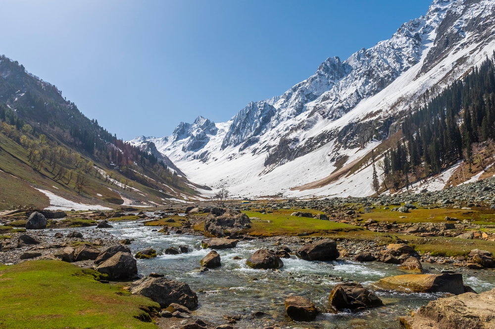 A,Mountain,Stream,In,Lush,Green,Alpine,Meadow,In,Sonmarg,